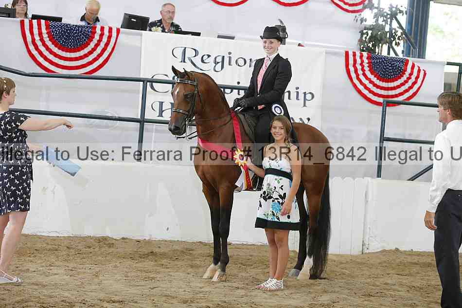Proof Number 13r14_6842