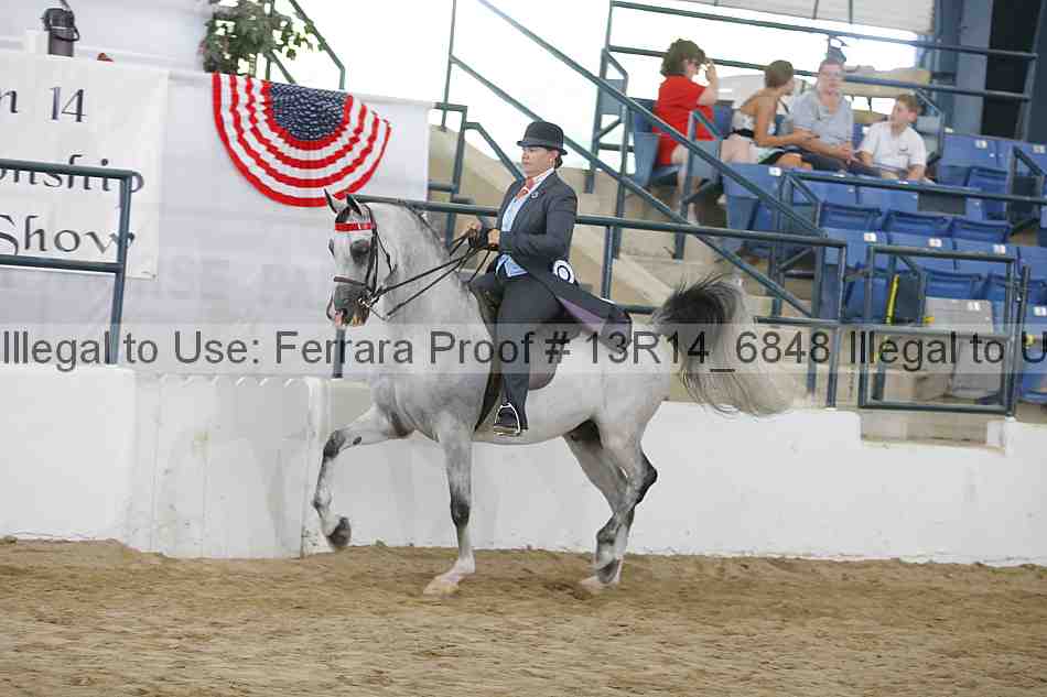 Proof Number 13r14_6848