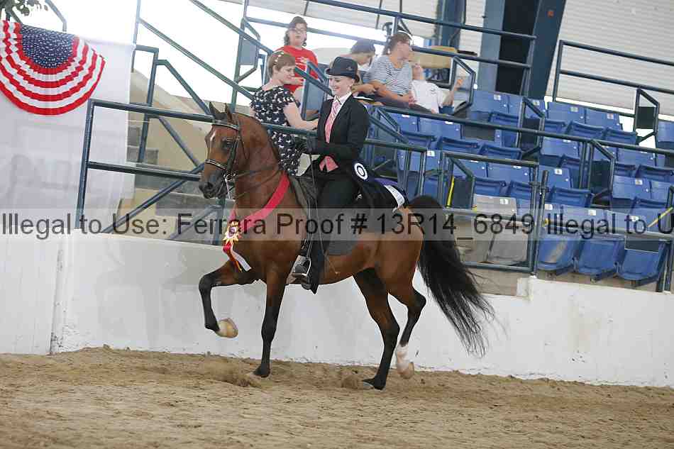 Proof Number 13r14_6849