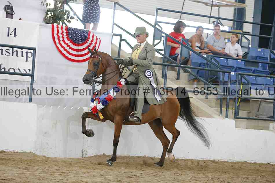 Proof Number 13r14_6853