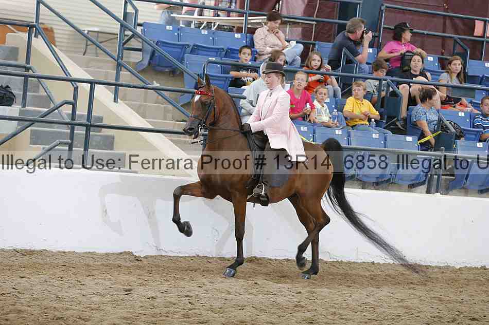 Proof Number 13r14_6858