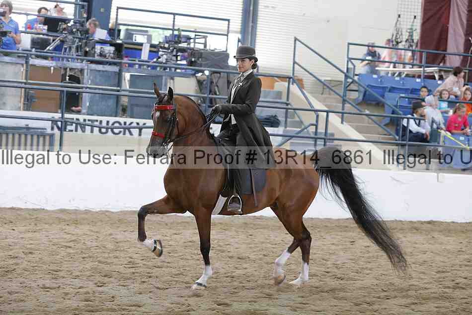 Proof Number 13r14_6861