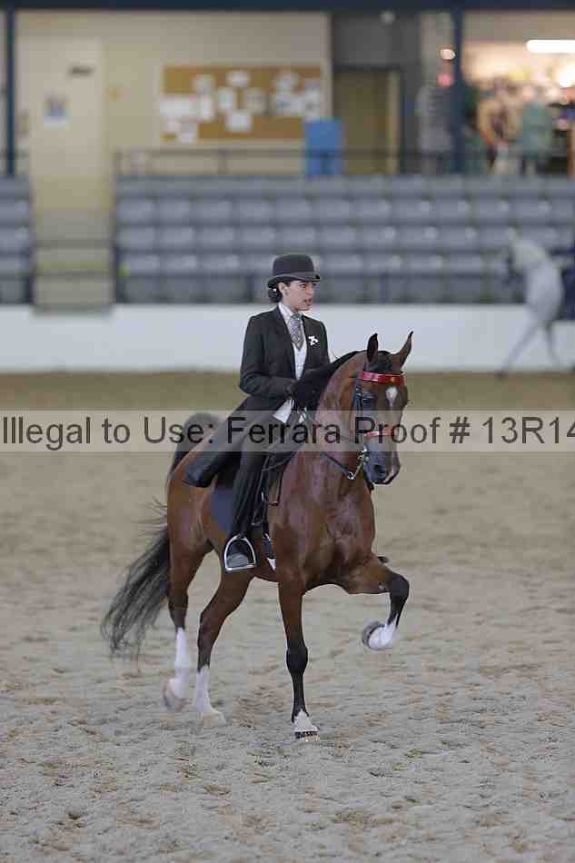 Proof Number 13r14_6874
