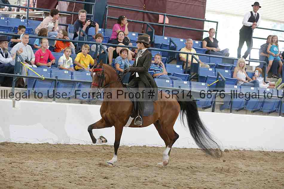 Proof Number 13r14_6876