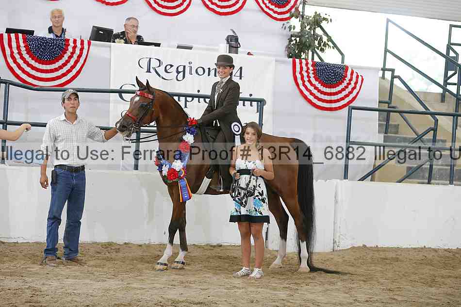 Proof Number 13r14_6882