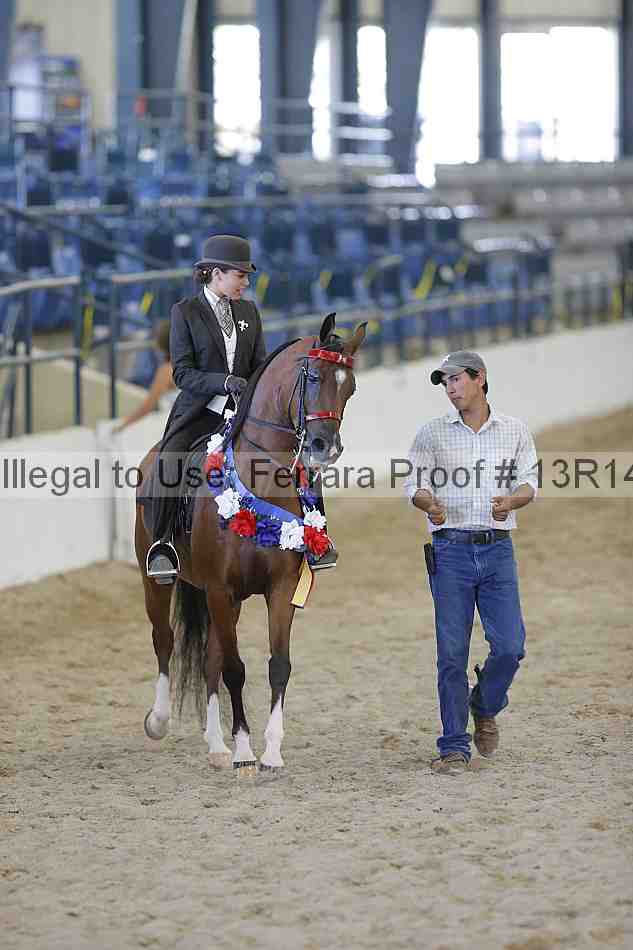 Proof Number 13r14_6885