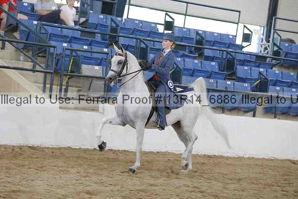Proof Number 13r14_6886