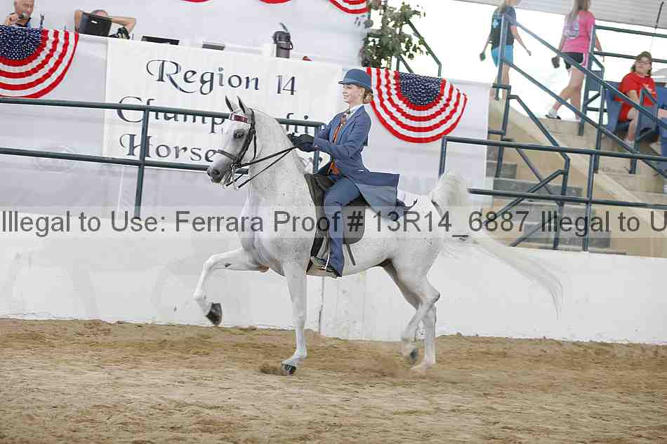 Proof Number 13r14_6887