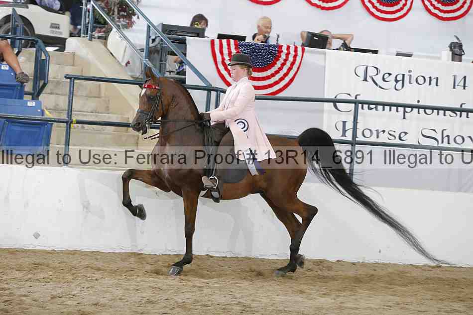 Proof Number 13r14_6891