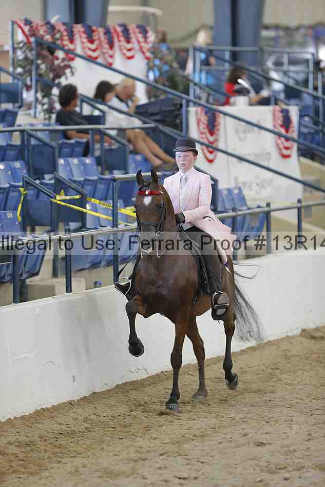 Proof Number 13r14_6894