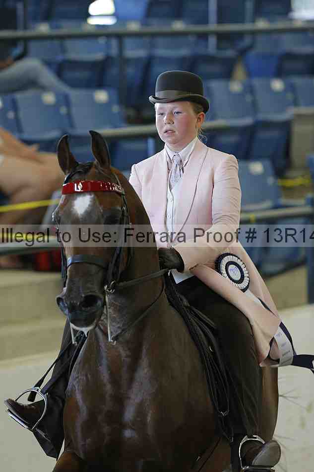 Proof Number 13r14_6895
