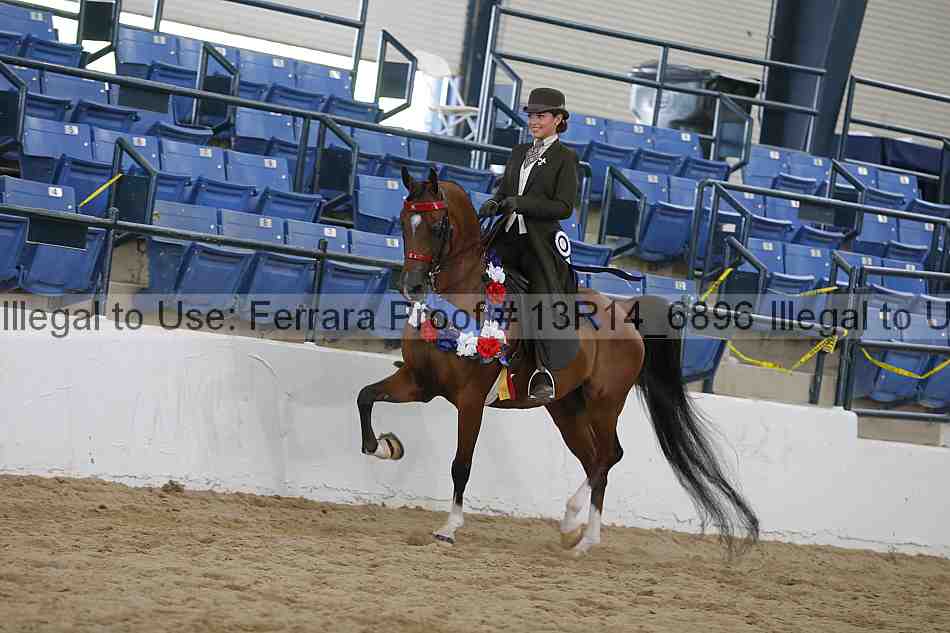 Proof Number 13r14_6896