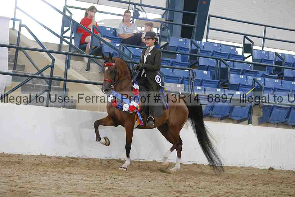 Proof Number 13r14_6897