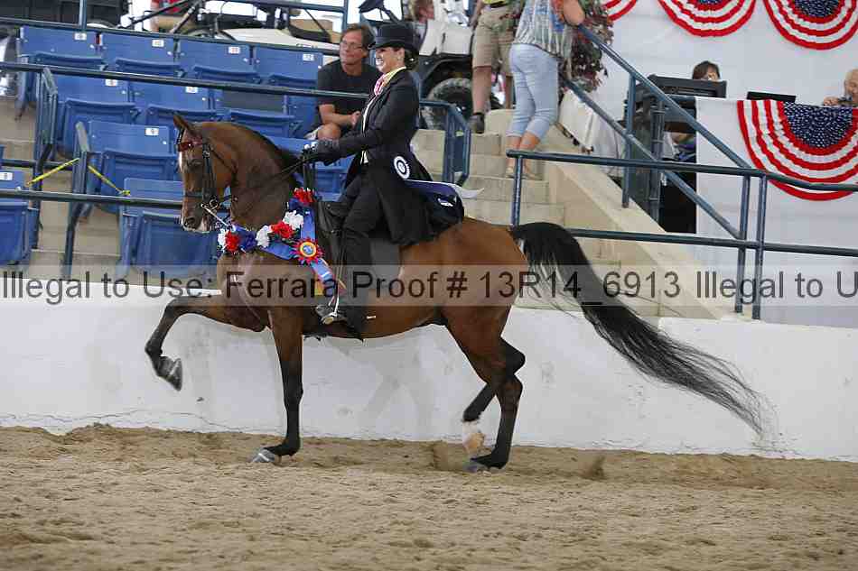 Proof Number 13r14_6913