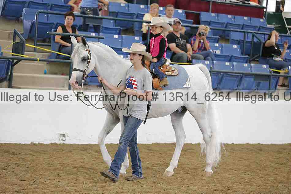 Proof Number 13r14_6254