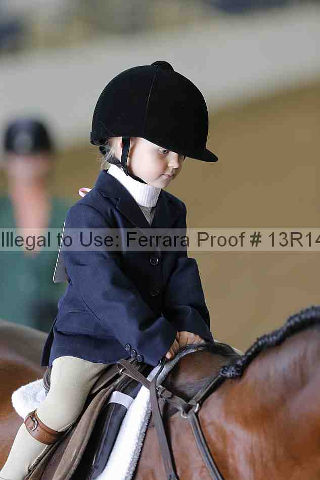 Proof Number 13r14_6262