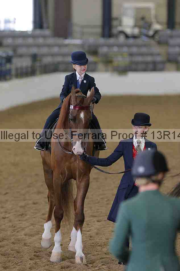 Proof Number 13r14_6265