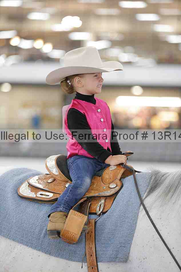 Proof Number 13r14_6268