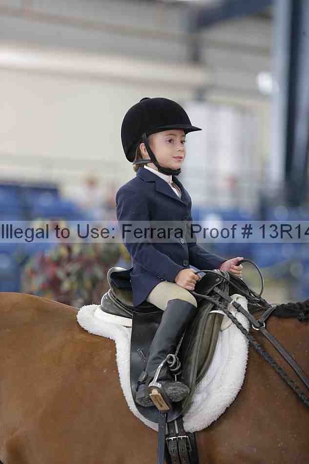 Proof Number 13r14_6271