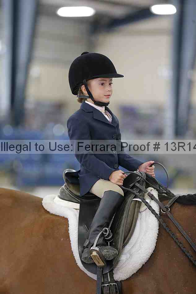 Proof Number 13r14_6272