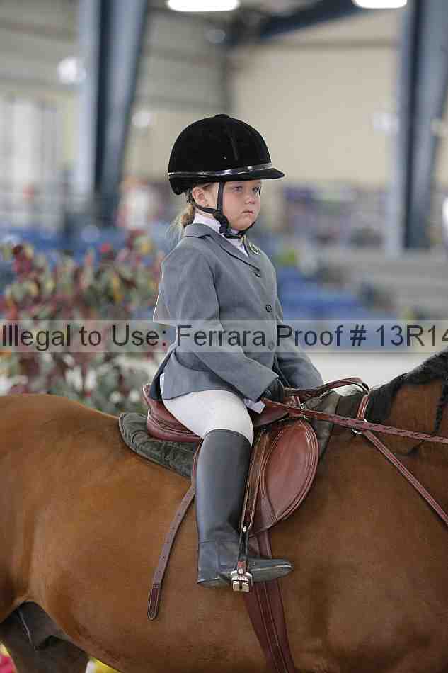 Proof Number 13r14_6281
