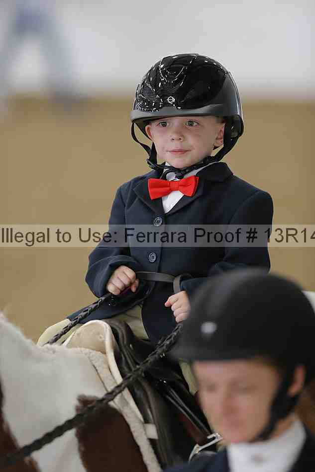 Proof Number 13r14_6285