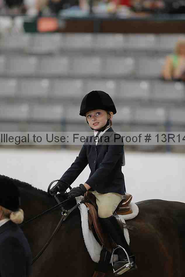 Proof Number 13r14_6294