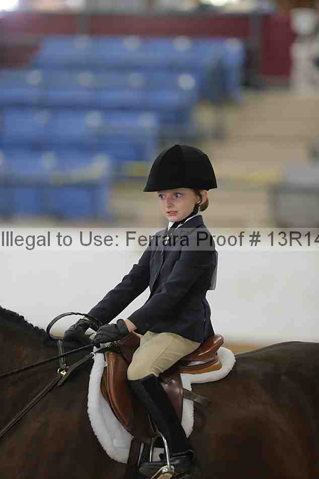 Proof Number 13r14_6295