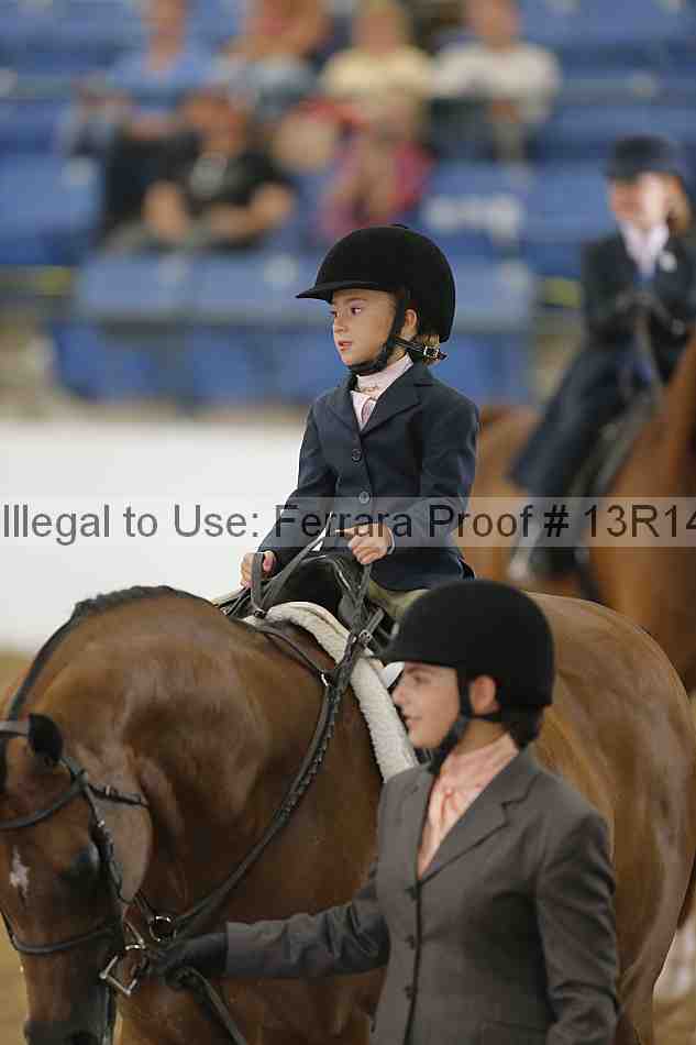 Proof Number 13r14_6297