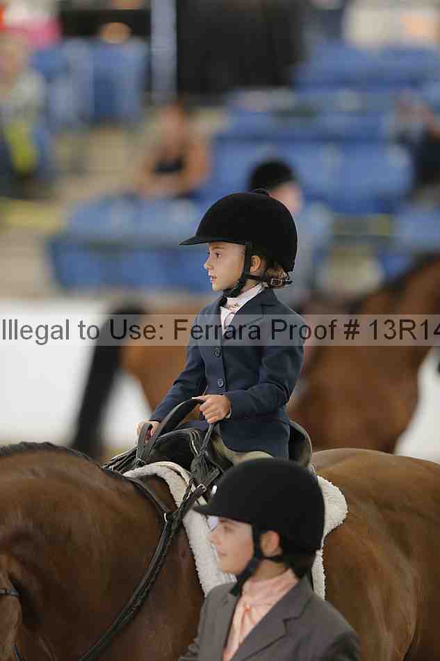 Proof Number 13r14_6298