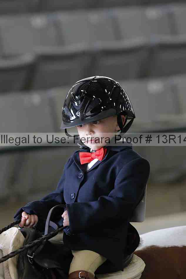 Proof Number 13r14_6308