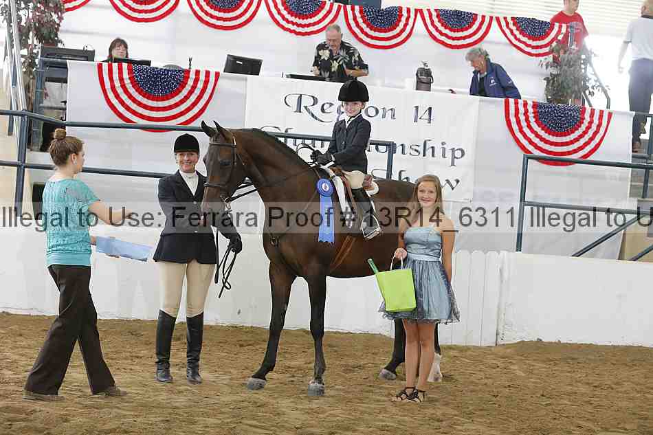 Proof Number 13r14_6311