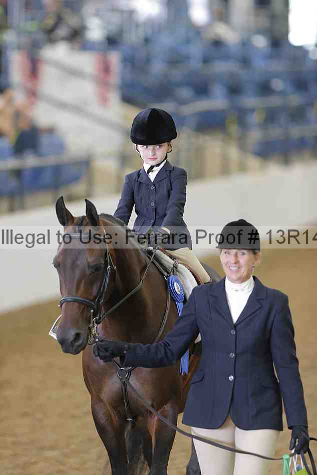 Proof Number 13r14_6317