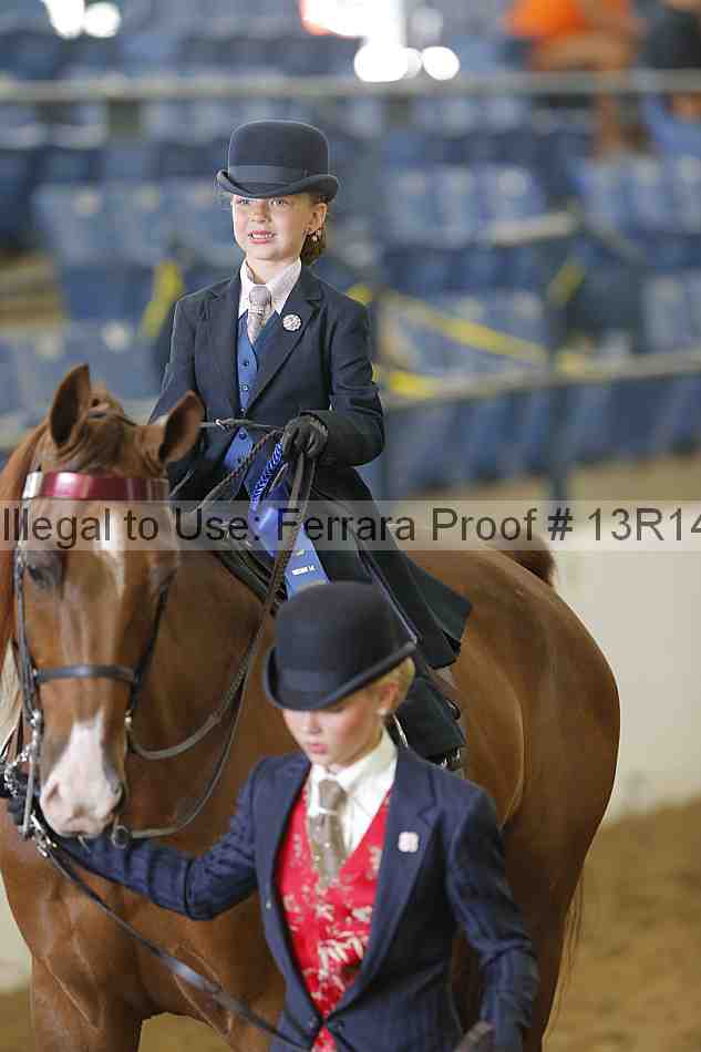 Proof Number 13r14_6324