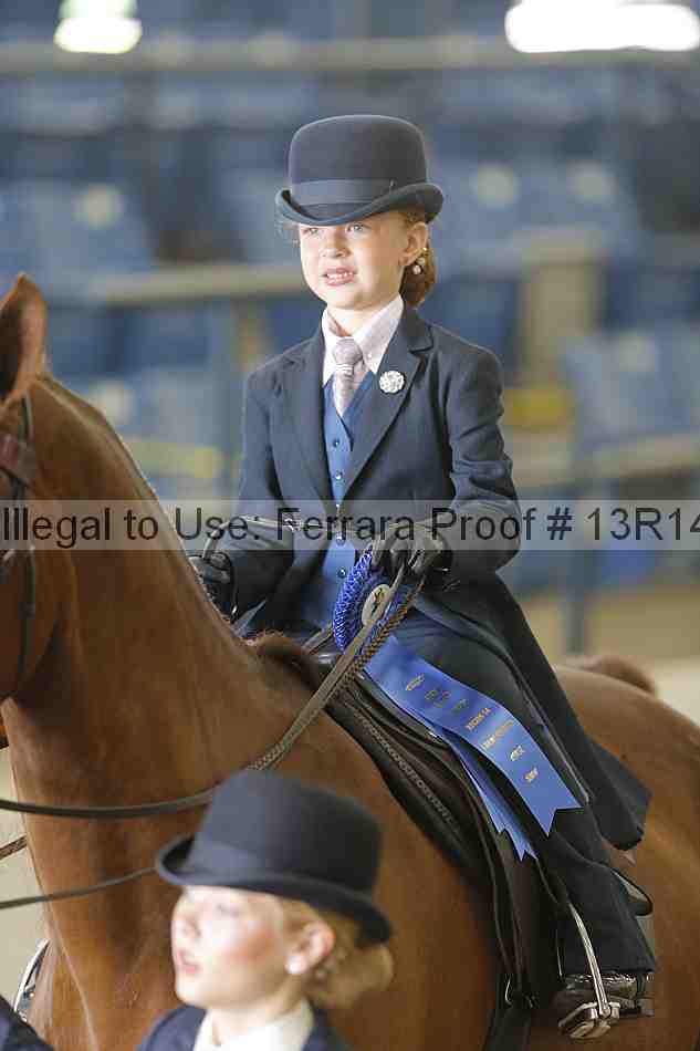 Proof Number 13r14_6325