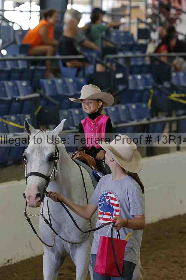 Proof Number 13r14_6330