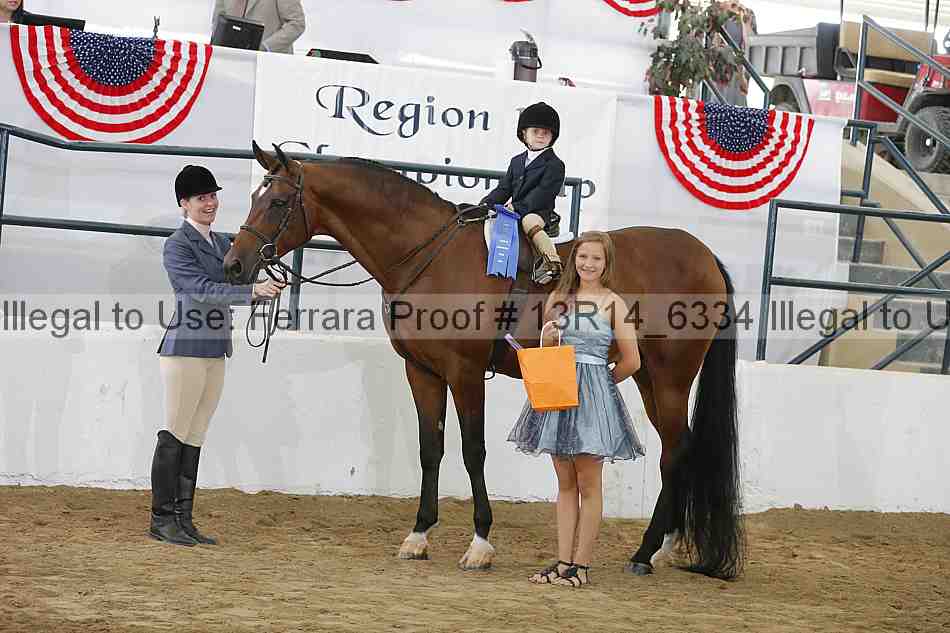 Proof Number 13r14_6334