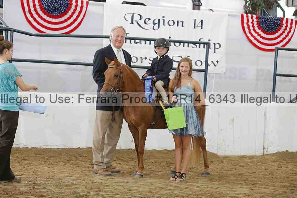Proof Number 13r14_6343