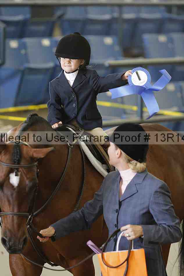 Proof Number 13r14_6348