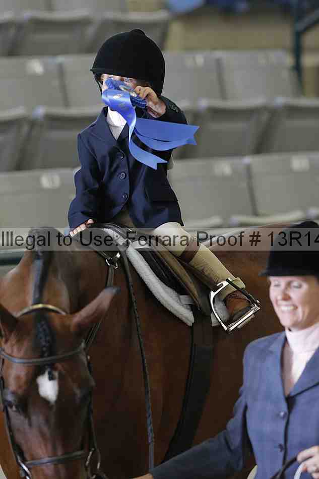 Proof Number 13r14_6351