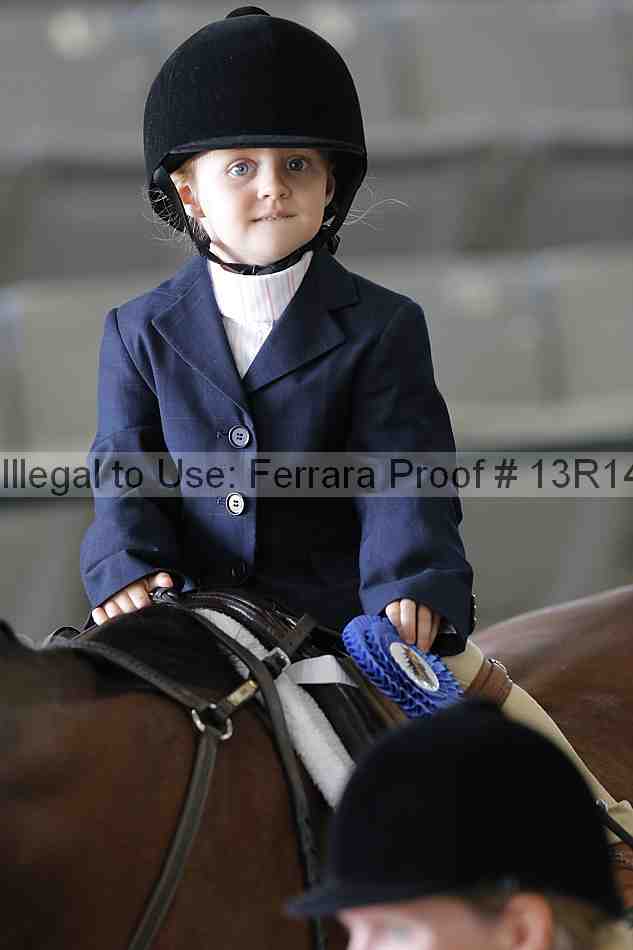 Proof Number 13r14_6355