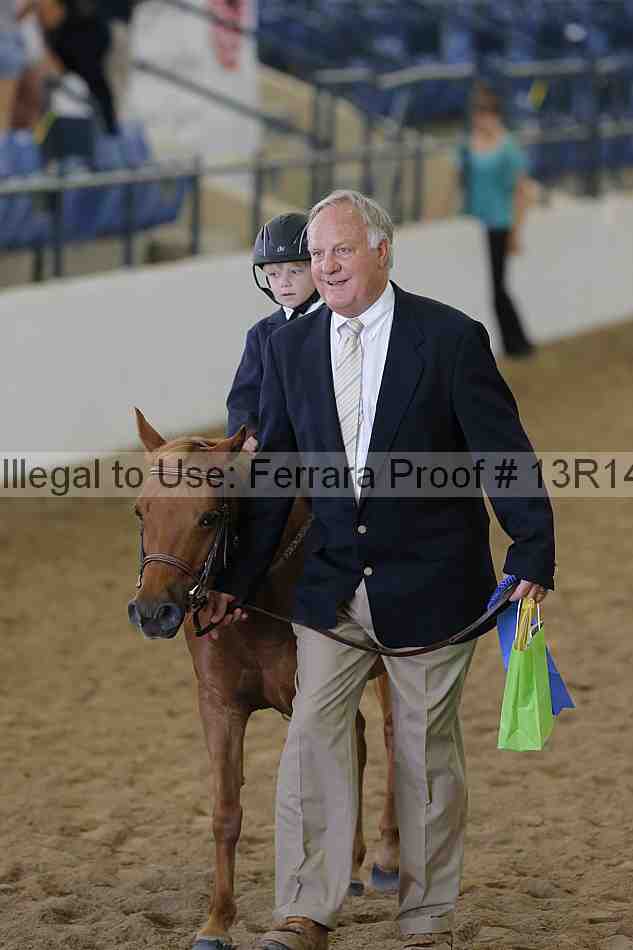 Proof Number 13r14_6356