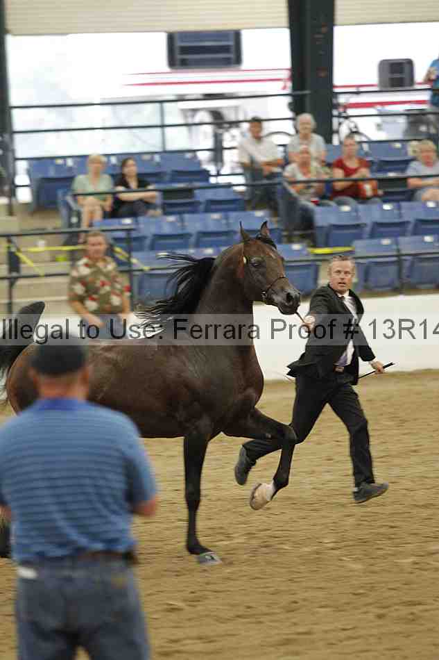 Proof Number 13r14_5177