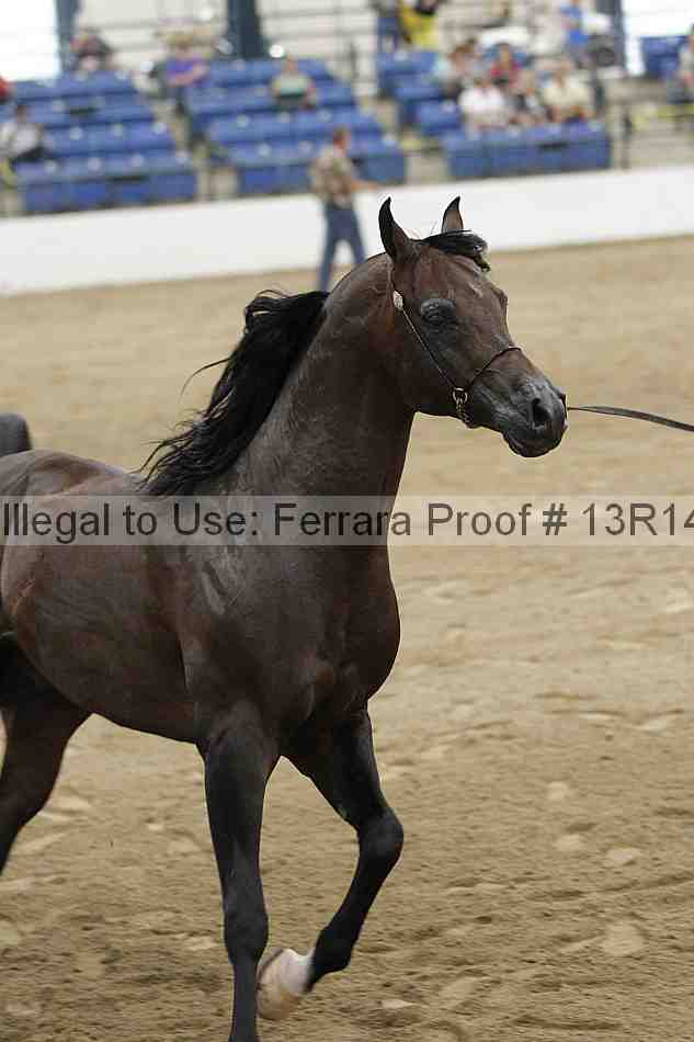 Proof Number 13r14_5181
