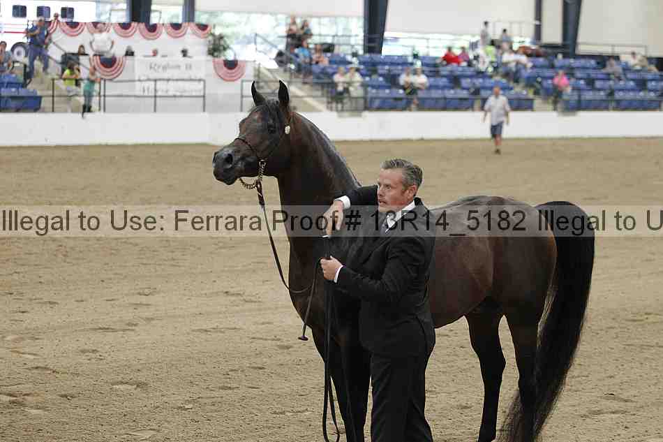 Proof Number 13r14_5182