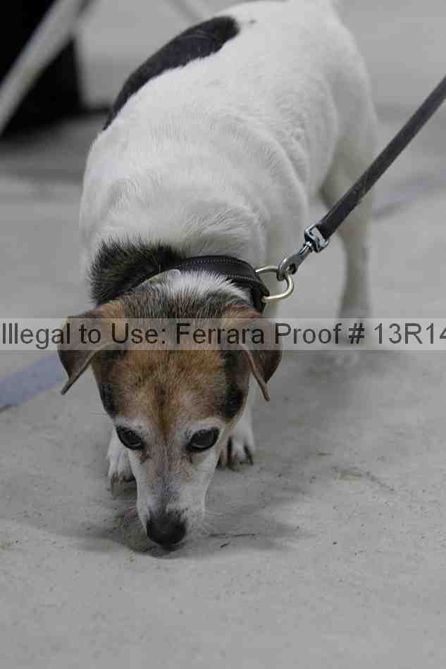 Proof Number 13r14_5185