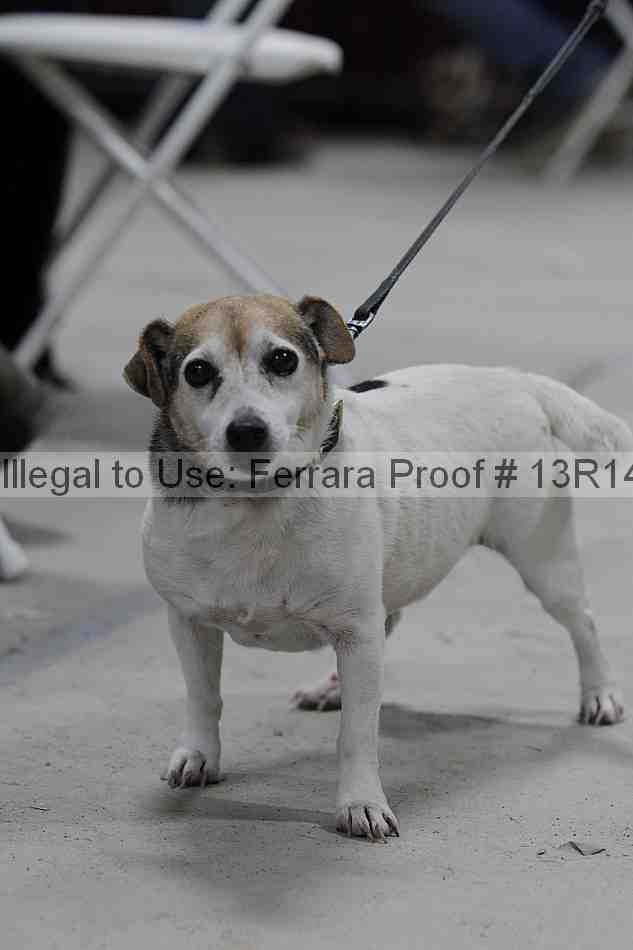 Proof Number 13r14_5186