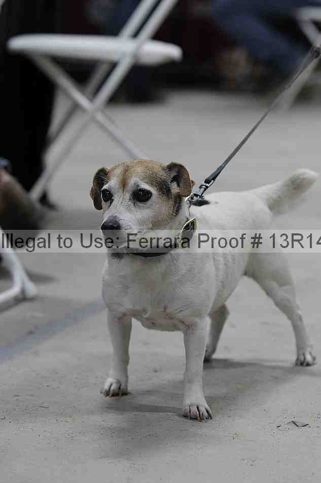 Proof Number 13r14_5187