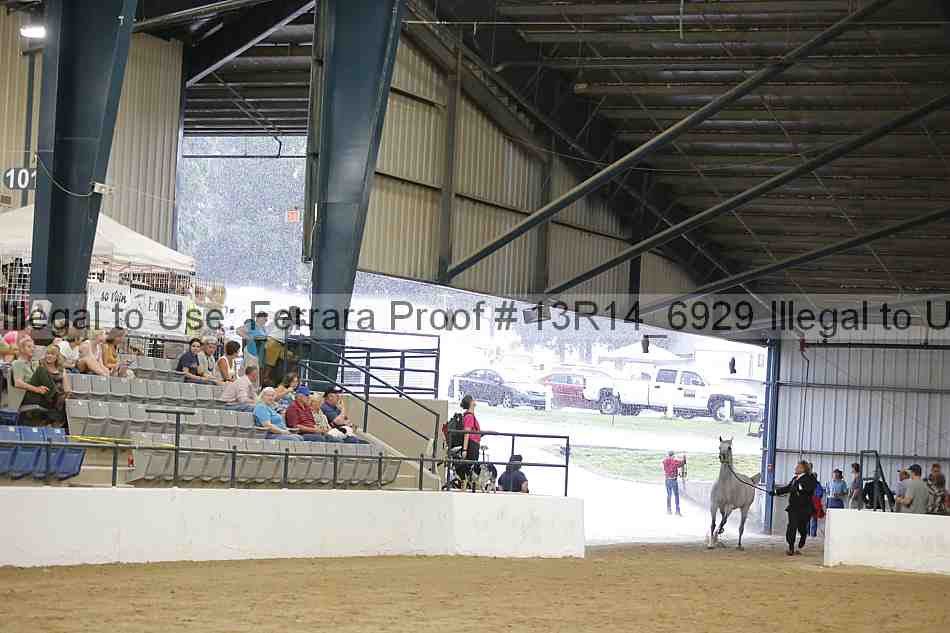 Proof Number 13r14_6929
