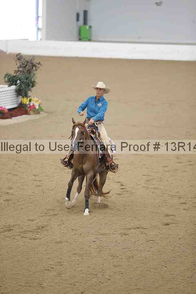 Proof Number 13r14_0027